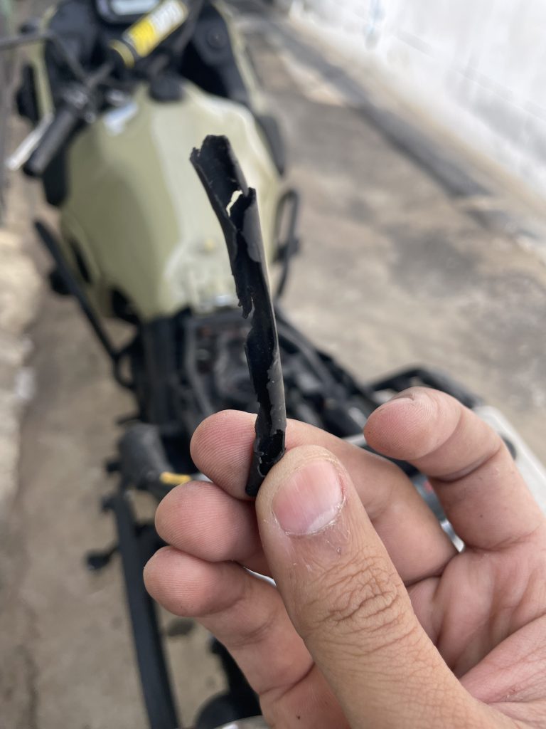 เรื่องของหนู... ที่ไม่ใช่นายกหนู