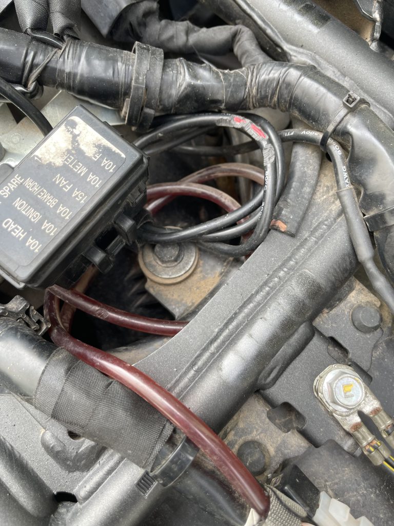 เรื่องของหนู... ที่ไม่ใช่นายกหนู