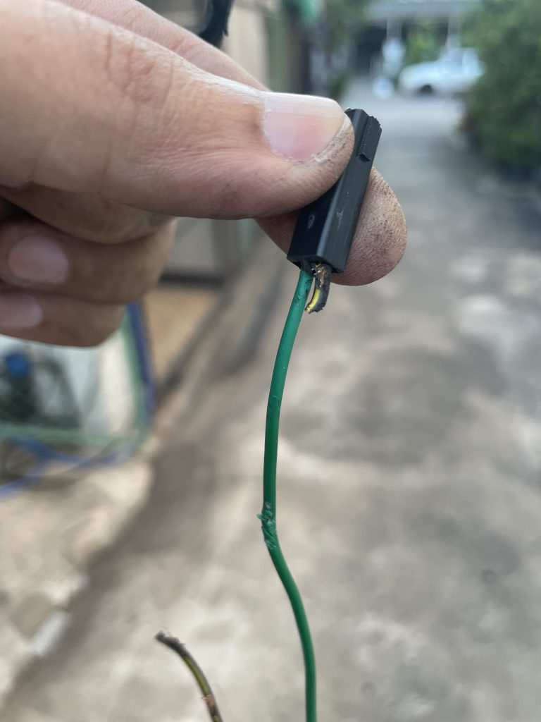 เรื่องของหนู... ที่ไม่ใช่นายกหนู